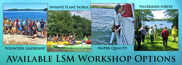 Available VLMP workshop options