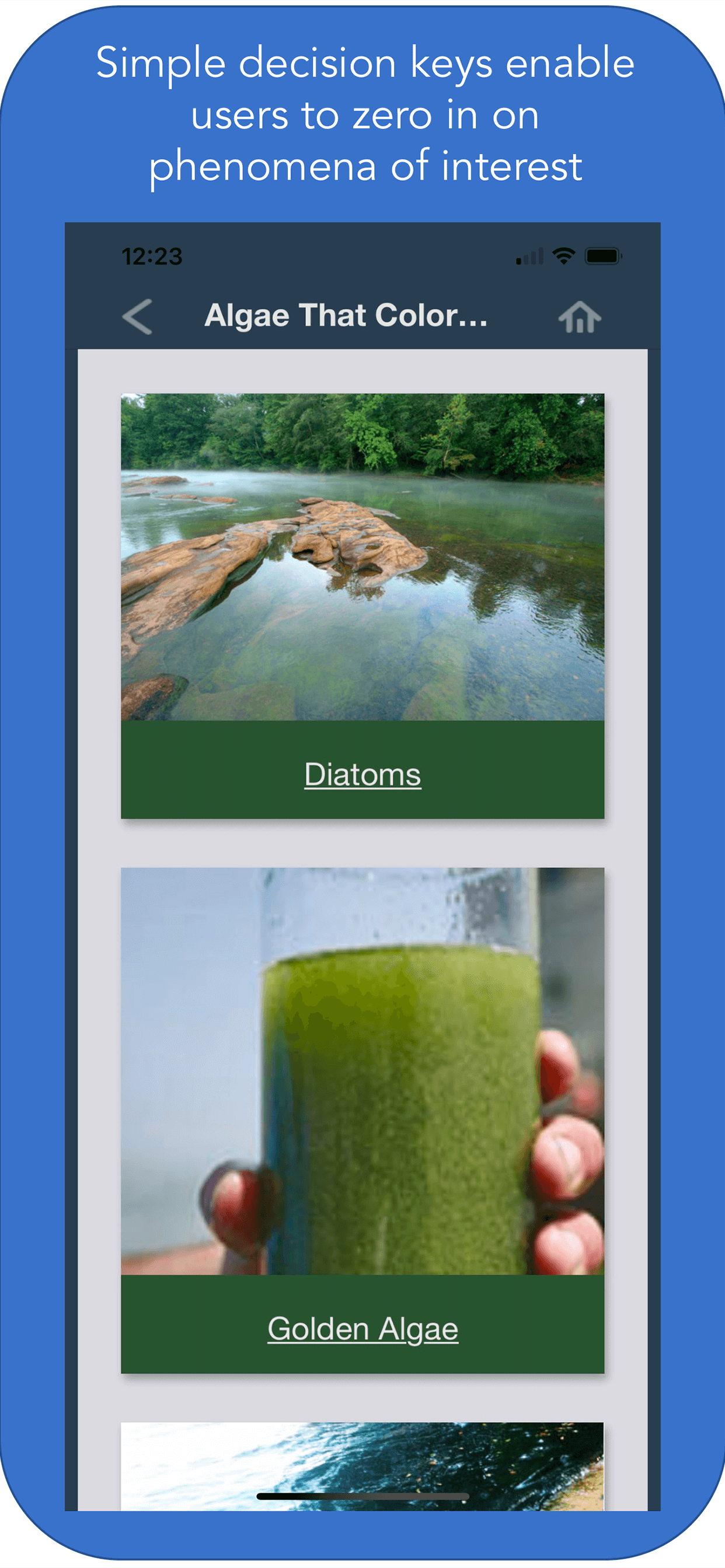 Edited-Screen 4 Algae