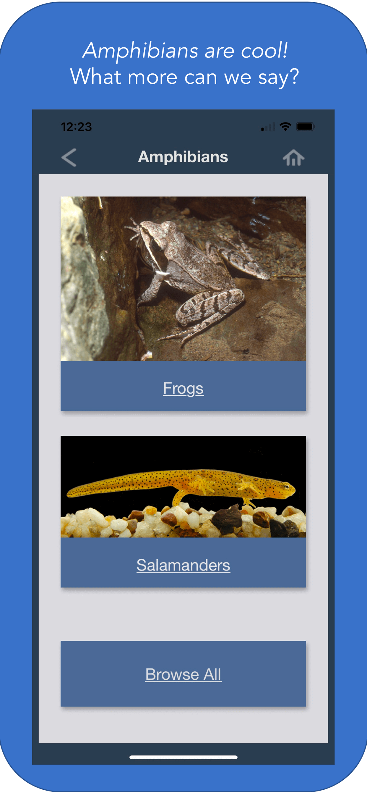 Edited-Screen 6 Amphibians