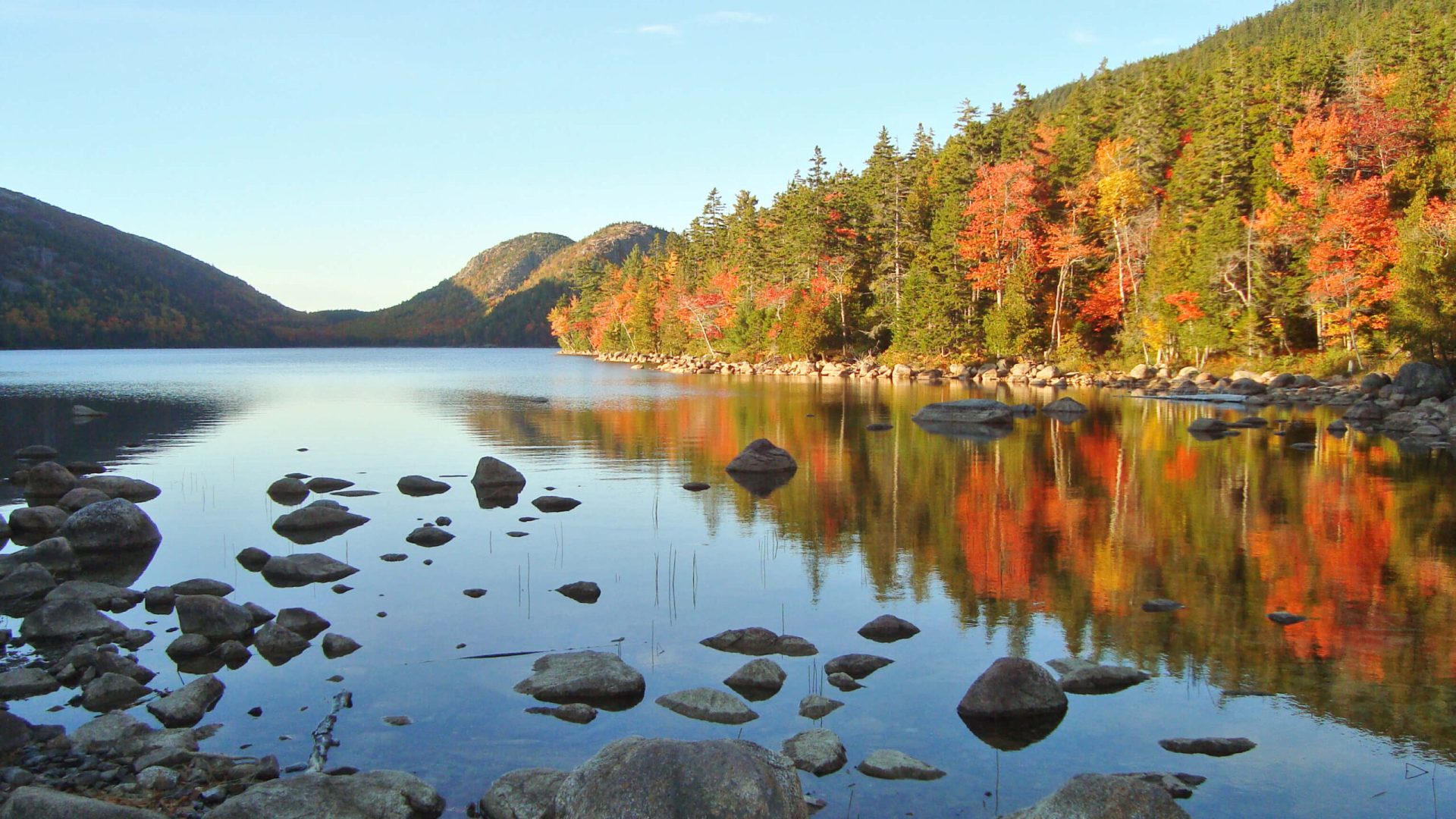 Fall_Compressed Fall_Compressed