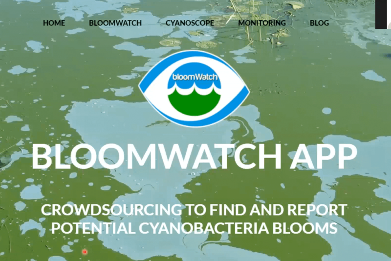 LSM Webinar 20210626 BloomWatch EPA's Smart Phone Application for the Monitoring of Cyanobacteria Blooms